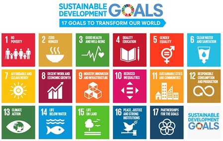 FN_global_goals.jpg